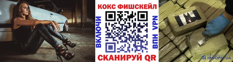 Кокаин FishScale  где купить наркоту  Западная Двина 