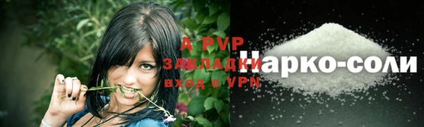 гашик Нефтекумск