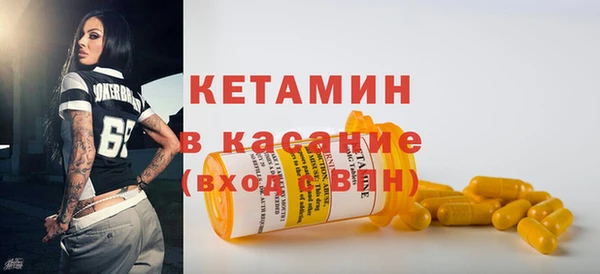 индика Новодвинск
