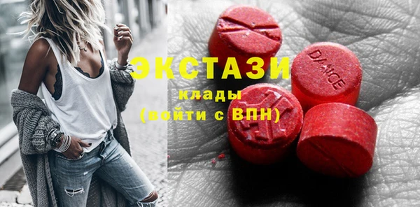 индика Новодвинск