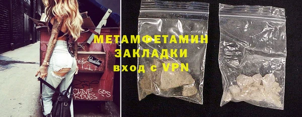 индика Новодвинск