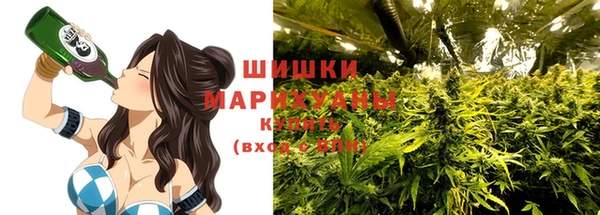 гашик Нефтекумск