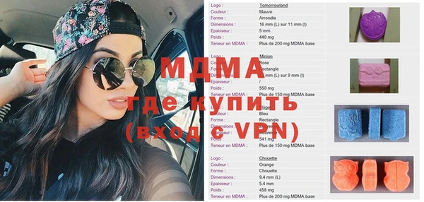 индика Новодвинск