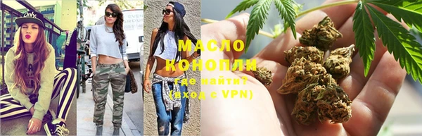 гашик Нефтекумск