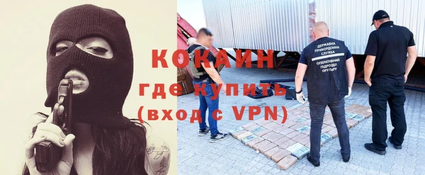 индика Новодвинск