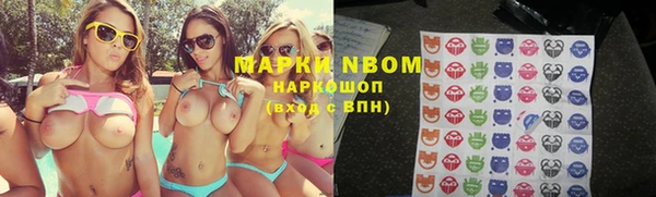 гашик Нефтекумск
