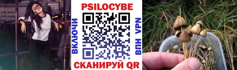 наркотики  Западная Двина  Галлюциногенные грибы MAGIC MUSHROOMS 